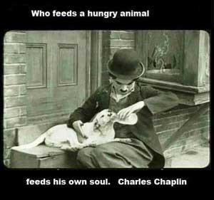 charles chaplin dog quote